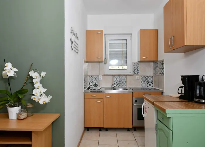 Apartments Novotny